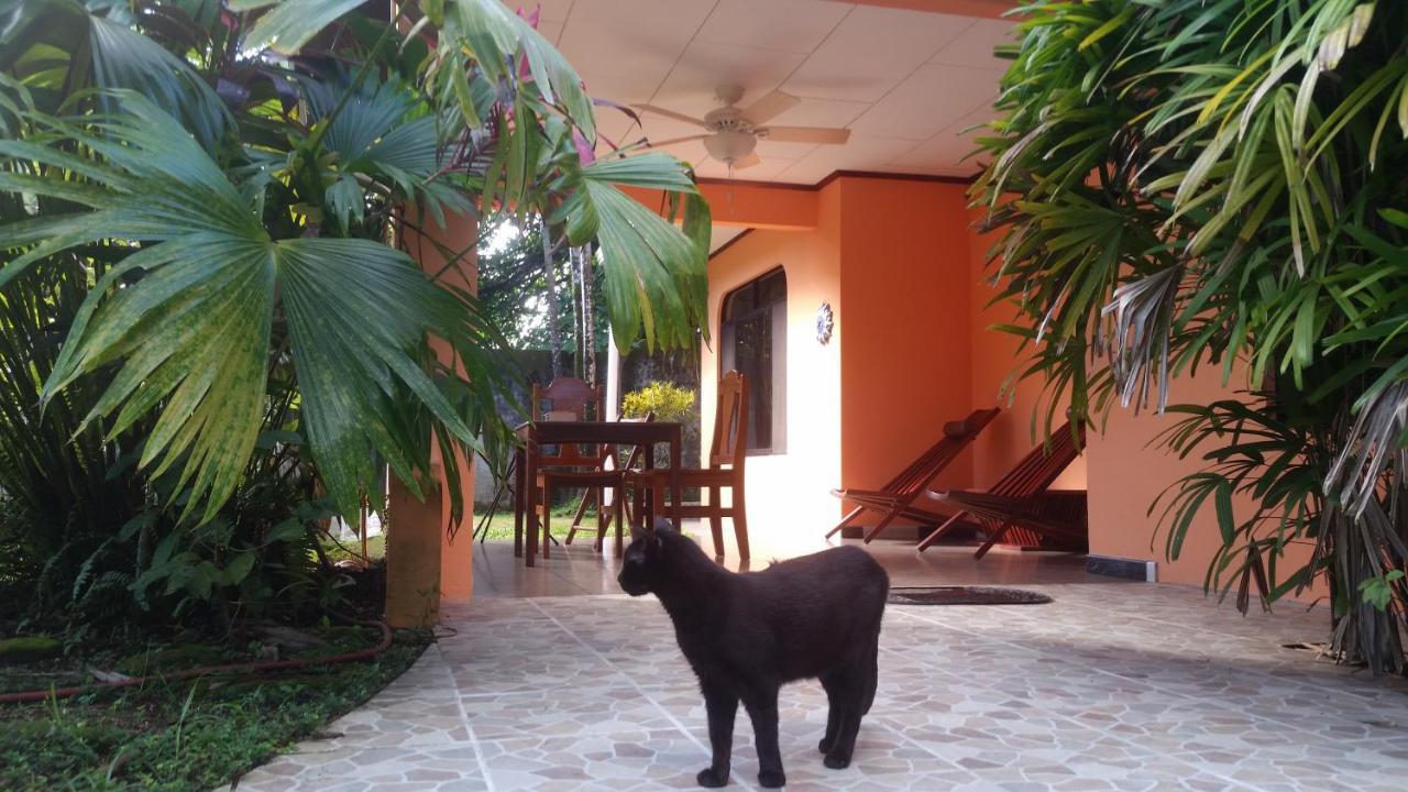 Embassy House Bed & Breakfast Puerto Jiménez Exterior photo