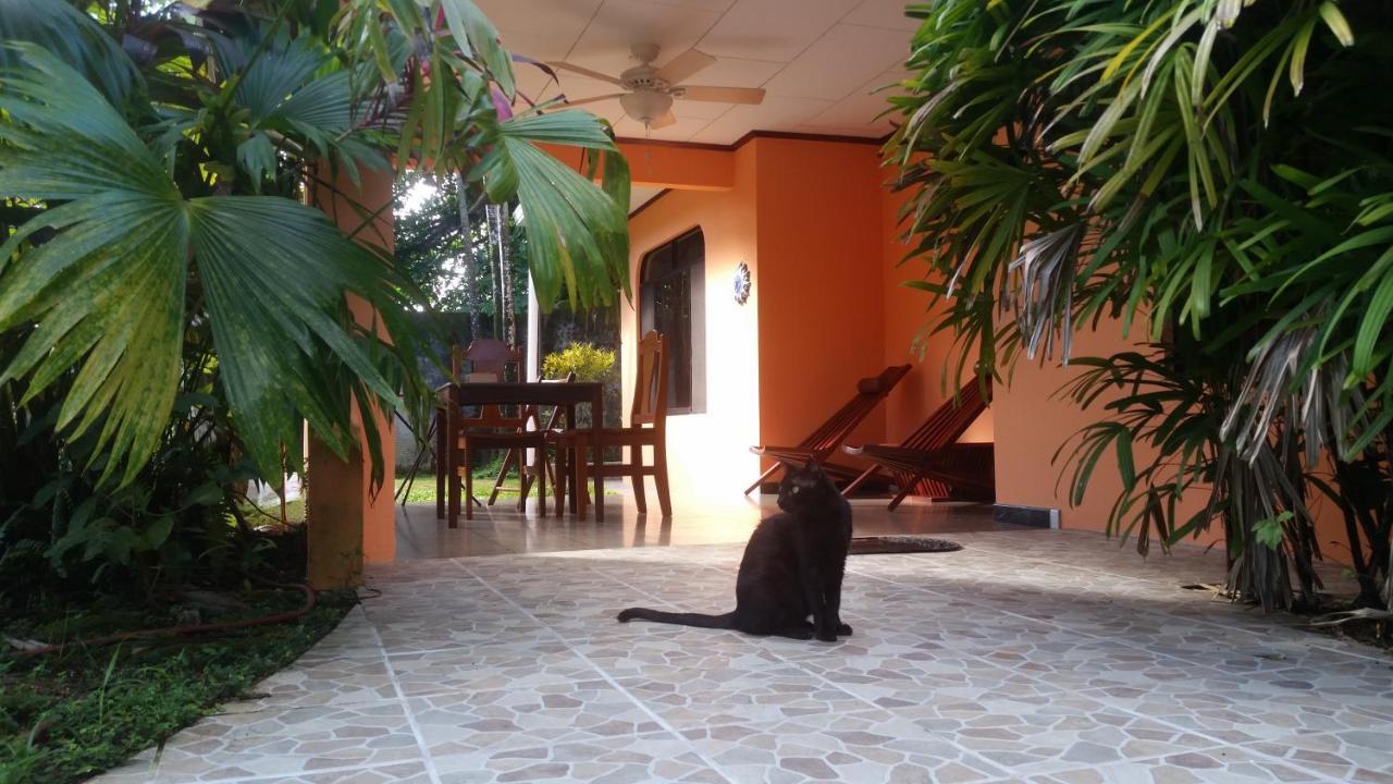 Embassy House Bed & Breakfast Puerto Jiménez Exterior photo